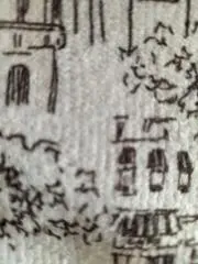 ちゃの画像