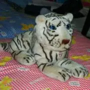 送料込み‼️ Dancemania SPEED G 2「スピード・ギガ 2」 - メルカリ