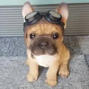 もっちーずの画像