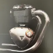 Canの画像