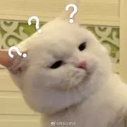 ねっこの画像