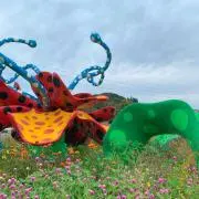 mhaの画像