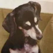 みなちゃん