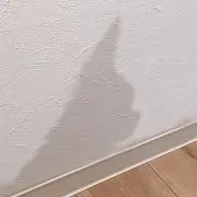 douの画像