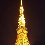 木実