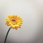 なっちゅん
