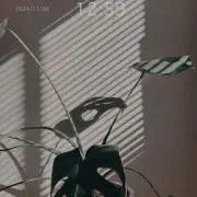 ゆー