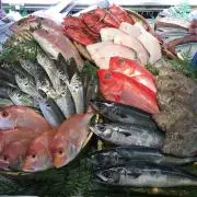 HaLioNの画像