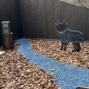 miiiiiの画像