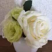 かふゆめの画像