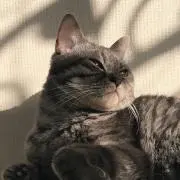 ※土日祝発送しません※の画像