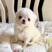 なっちゃん︎✿プロフお読みくださいの画像