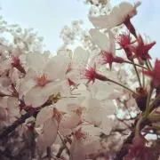 みー⭐︎即購入OKの画像