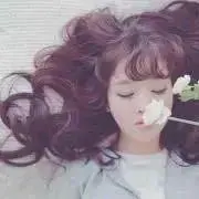 tetoteの画像