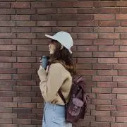 SAIの画像