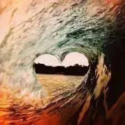 ショーの画像