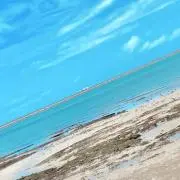 ぽんず