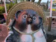 吉吉の画像