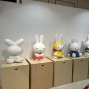 NASAの画像