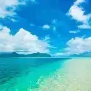 Haru-shoの画像
