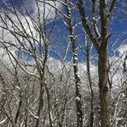 mad.jの画像