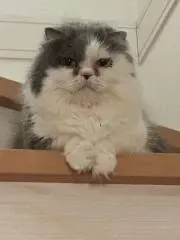 HiRoの画像