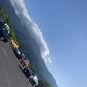 あーにゃの画像