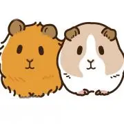 モルの画像