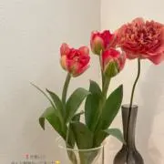 ぷぷ【匿名発送・即購入OK】の画像