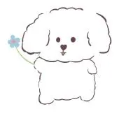 ふうの画像