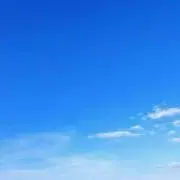 コウの画像