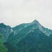 green greenの画像