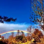 rainbow☆shop
