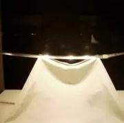 春の画像