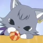 チョビの画像