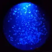 ☆いま★の画像