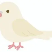 ゆきちゃん　まとめ買い歓迎☆の画像