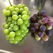 あかの画像