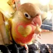 まみらり