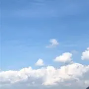あらら