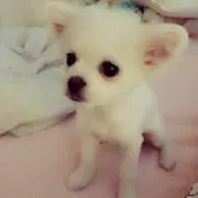 niina♡の画像