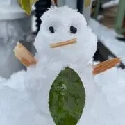 Reiの画像