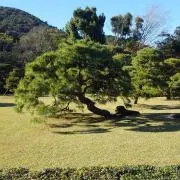 BJCの画像
