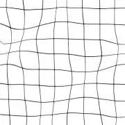 Rinonの画像