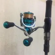 パプリカ
