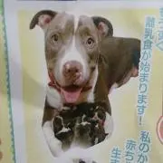 ご縁