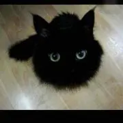 そら