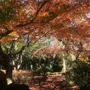 AKKYIの画像