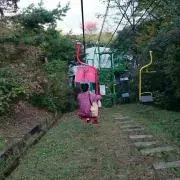 DAの画像