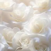 ゆずの画像